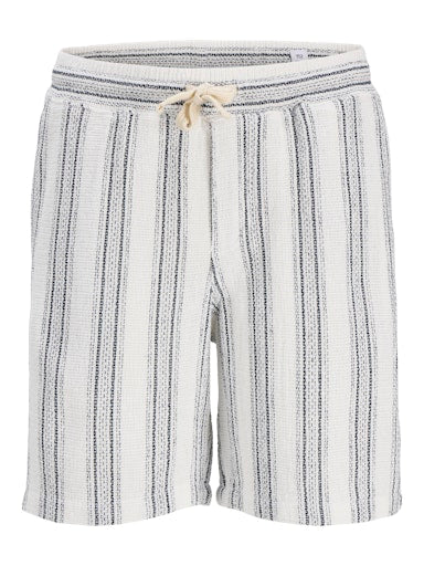 JACK & JONES JUNIOR SHORTS JPSTJAIDEN COBA STRIPE