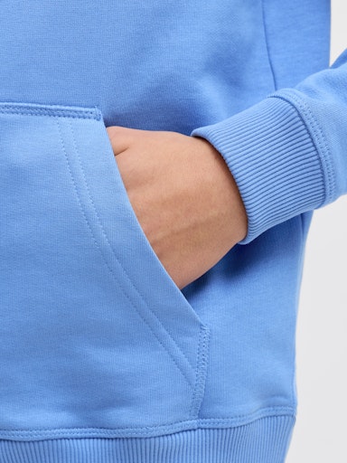 JACK & JONES JUNIOR HETTEGENSER SWEAT JORNORREBRO EMB