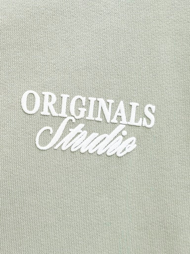 JACK & JONES JUNIOR HETTEGENSER JORNORREBRO TYPO BACK SWEAT HOOD